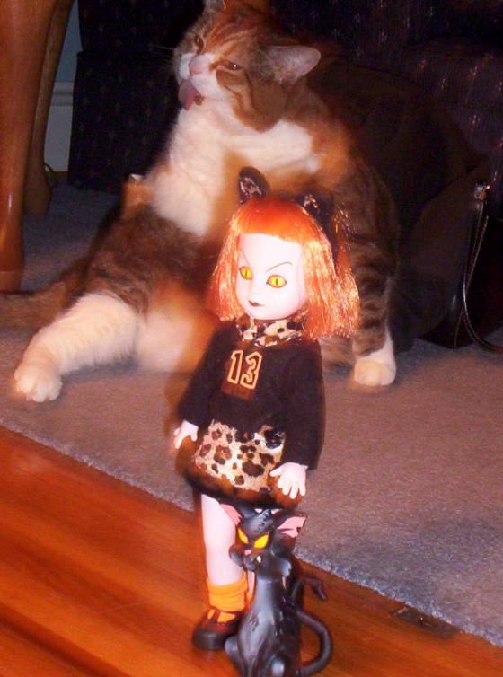 jinxcat.jpg